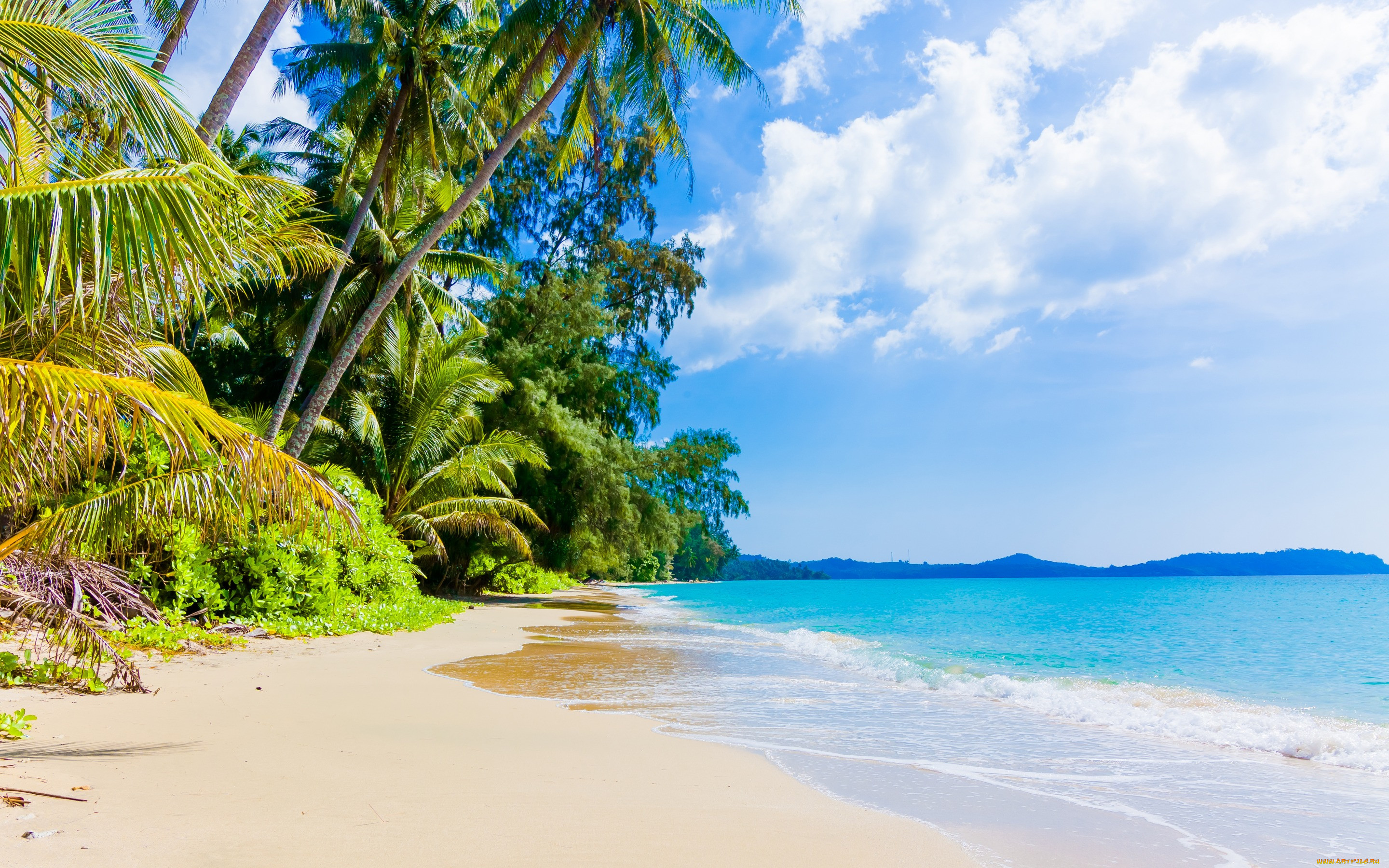 , , , sand, paradise, shore, , , , , sea, blue, beach, summer